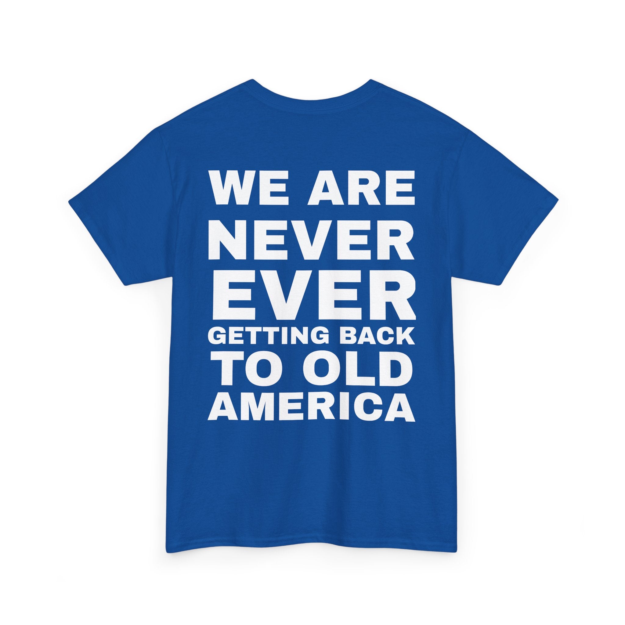 Americas Taylor’s Version Democrat T Shirt